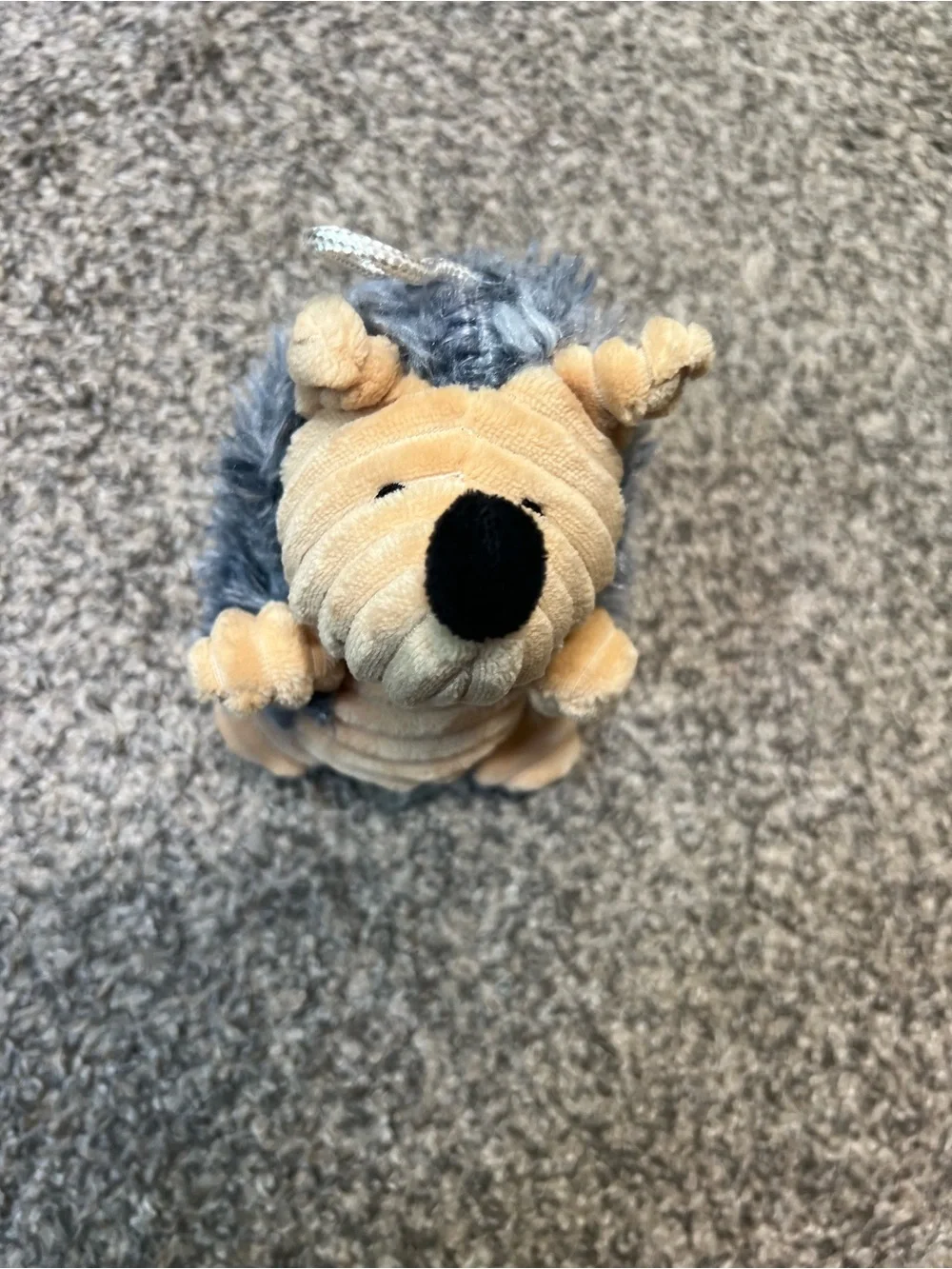Pet Plush Toy Bundle - Gray, Yellow, Green, Blue Plush & Squeaky Toys